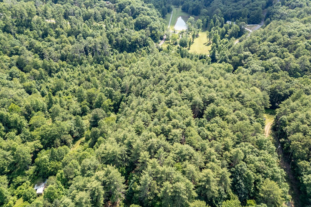 Lot 10 Raper Mill Creek Murphy, NC 28906 - Photo 42 of 49