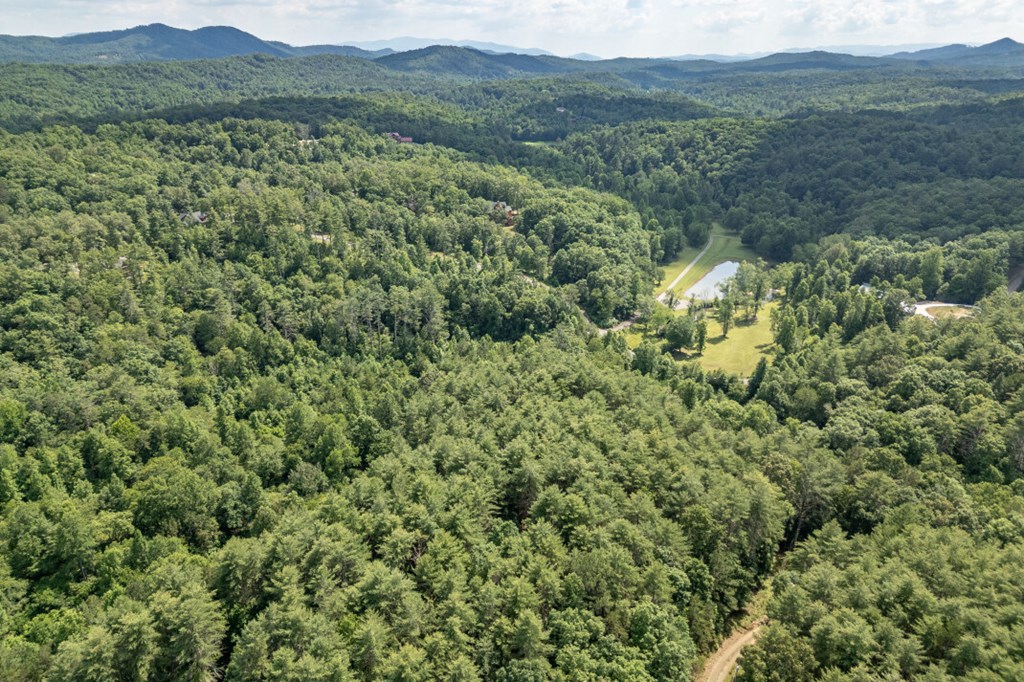 Lot 10 Raper Mill Creek Murphy, NC 28906 - Photo 43 of 49