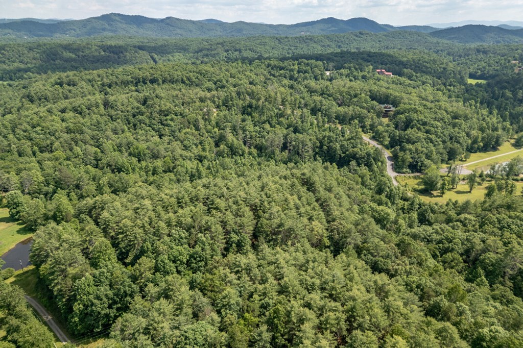 Lot 10 Raper Mill Creek Murphy, NC 28906 - Photo 44 of 49