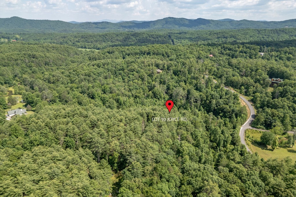 Lot 10 Raper Mill Creek Murphy, NC 28906 - Photo 45 of 49