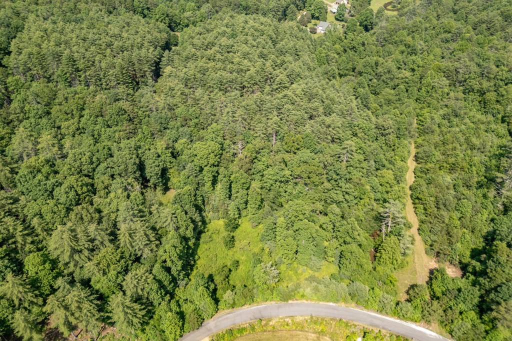 Lot 10 Raper Mill Creek Murphy, NC 28906 - Photo 47 of 49