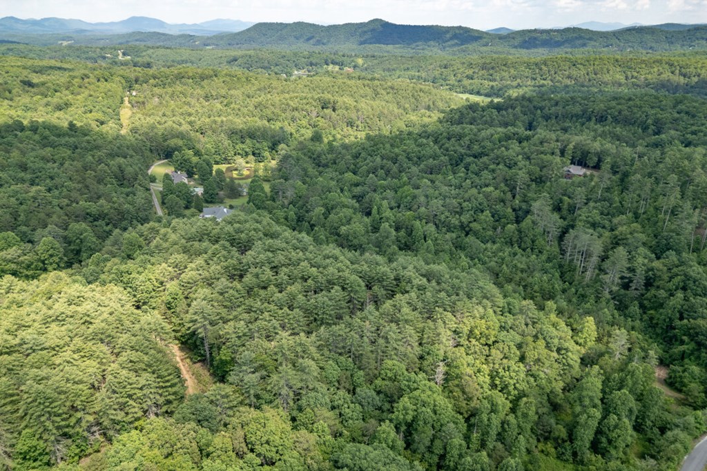Lot 10 Raper Mill Creek Murphy, NC 28906 - Photo 49 of 49