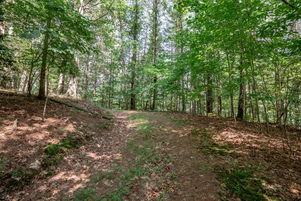 Lot 10 Raper Mill Creek Murphy, NC 28906 - Photo 6 of 49