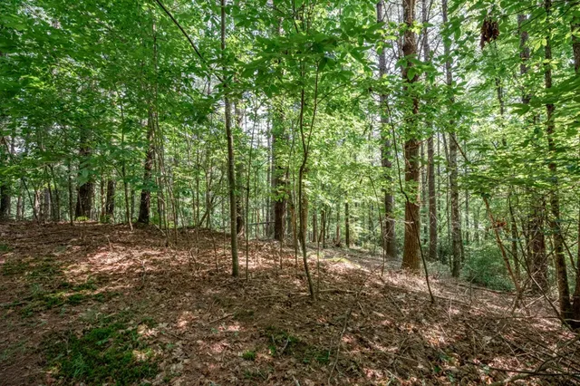 $79,000 | Lot 10 Raper Mill Creek, Murphy, NC 28906