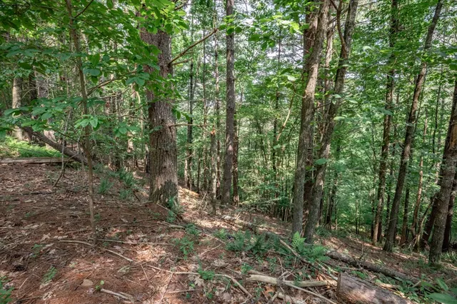 $79,000 | Lot 10 Raper Mill Creek, Murphy, NC 28906