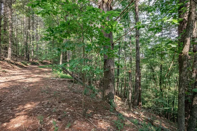 $79,000 | Lot 10 Raper Mill Creek, Murphy, NC 28906