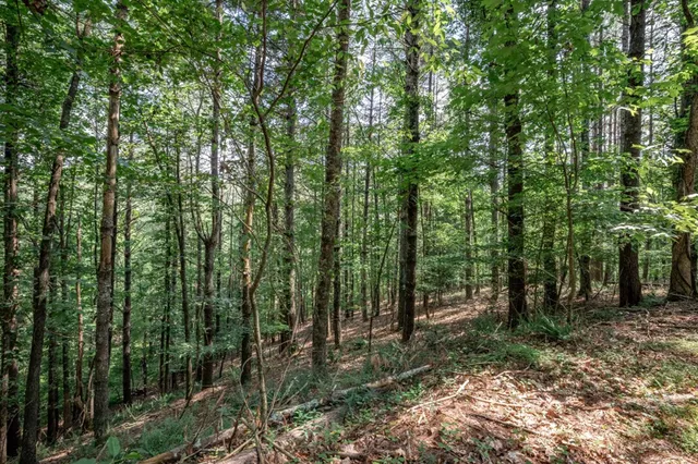 $79,000 | Lot 10 Raper Mill Creek, Murphy, NC 28906
