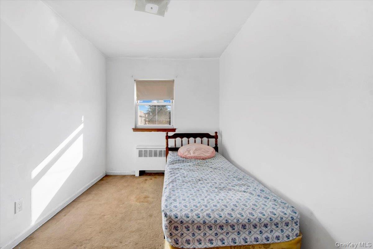 733 Rhinelander Avenue Bronx, NY 10462 - Photo 16 of 31 Bedroom featuring light carpet and radiator heating unit
