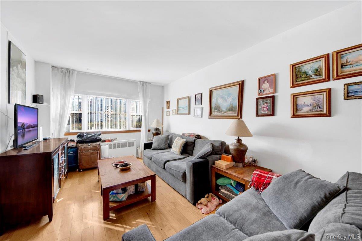 733 Rhinelander Avenue Bronx, NY 10462 - Photo 9 of 31 Living room with light wood-style flooring and radiator heating unit
