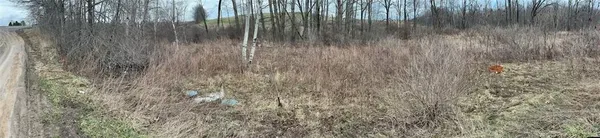 a view of a lake with lots of trees