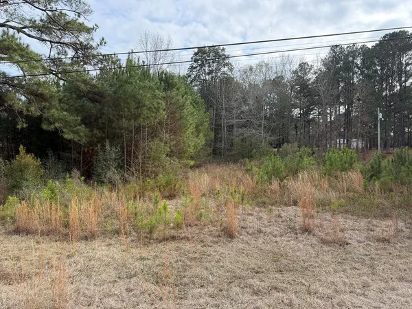 $25,000 | 1511 Highland Drive, Elba, AL 36323