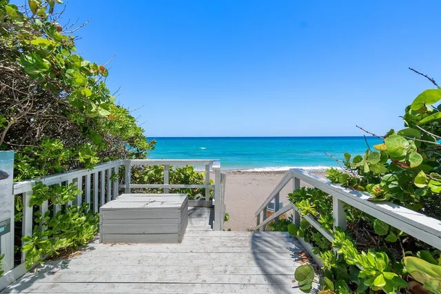 a view of a patio with table and chairs under an umbrella with potted plants