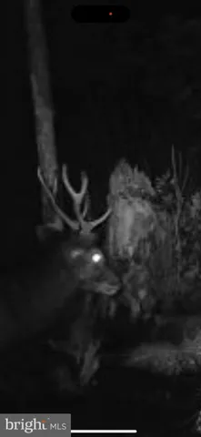 a view of entryway and kitchen