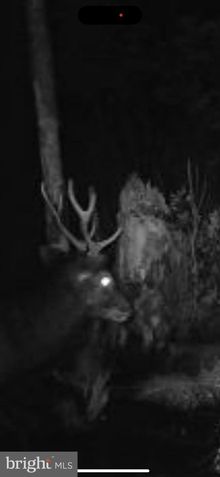 2265 Wingate Bishops Head Road Wingate, MD 21675 - Photo 3 of 10 a close up of a fireplace