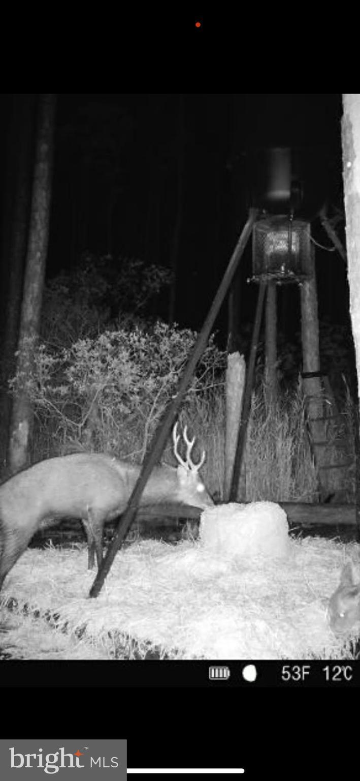 2265 Wingate Bishops Head Road Wingate, MD 21675 - Photo 4 of 10 a view of entryway and kitchen