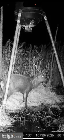 a view of swimming pool from a window