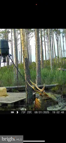 $165,000 | 2265 Wingate Bishops Head Road, Wingate, MD 21675