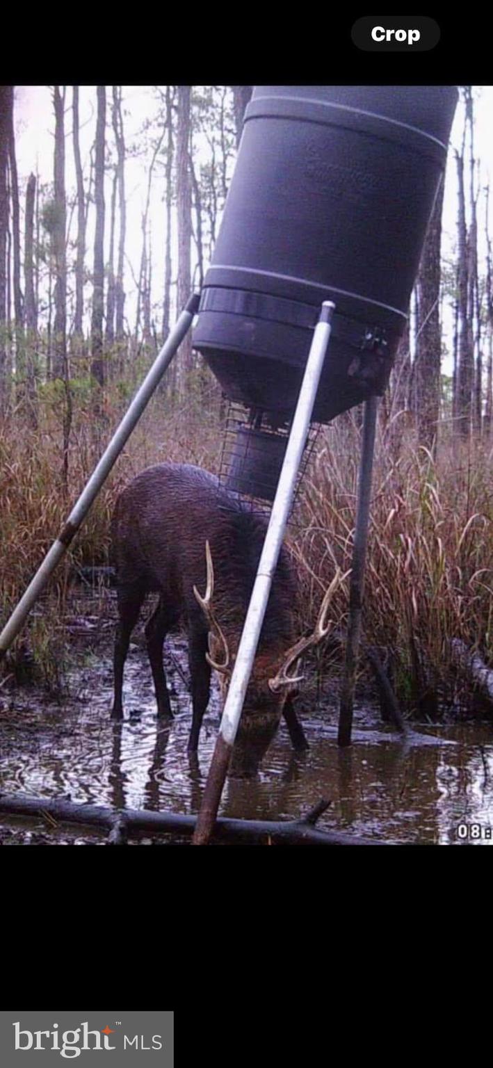 2265 Wingate Bishops Head Road Wingate, MD 21675 - Photo 10 of 10 a view of entryway