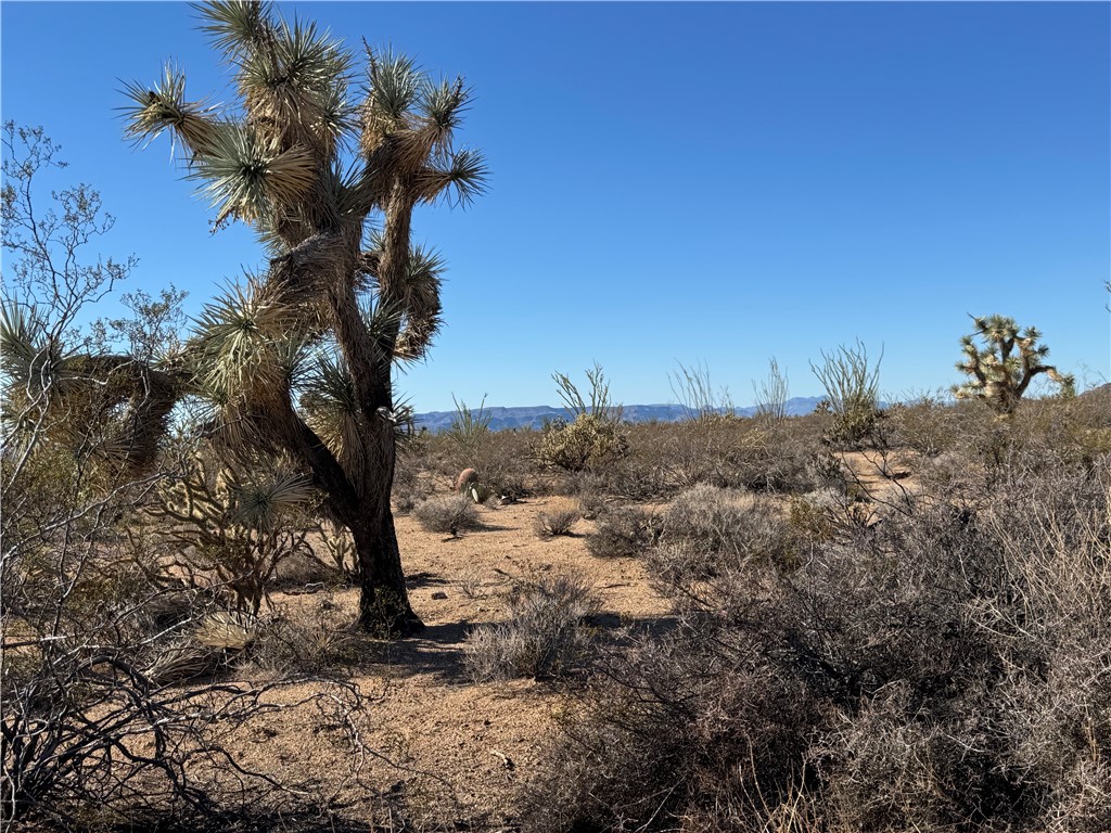 242-12-013 South Sundance Kid Road Yucca, AZ 86438 - Photo 7 of 17
