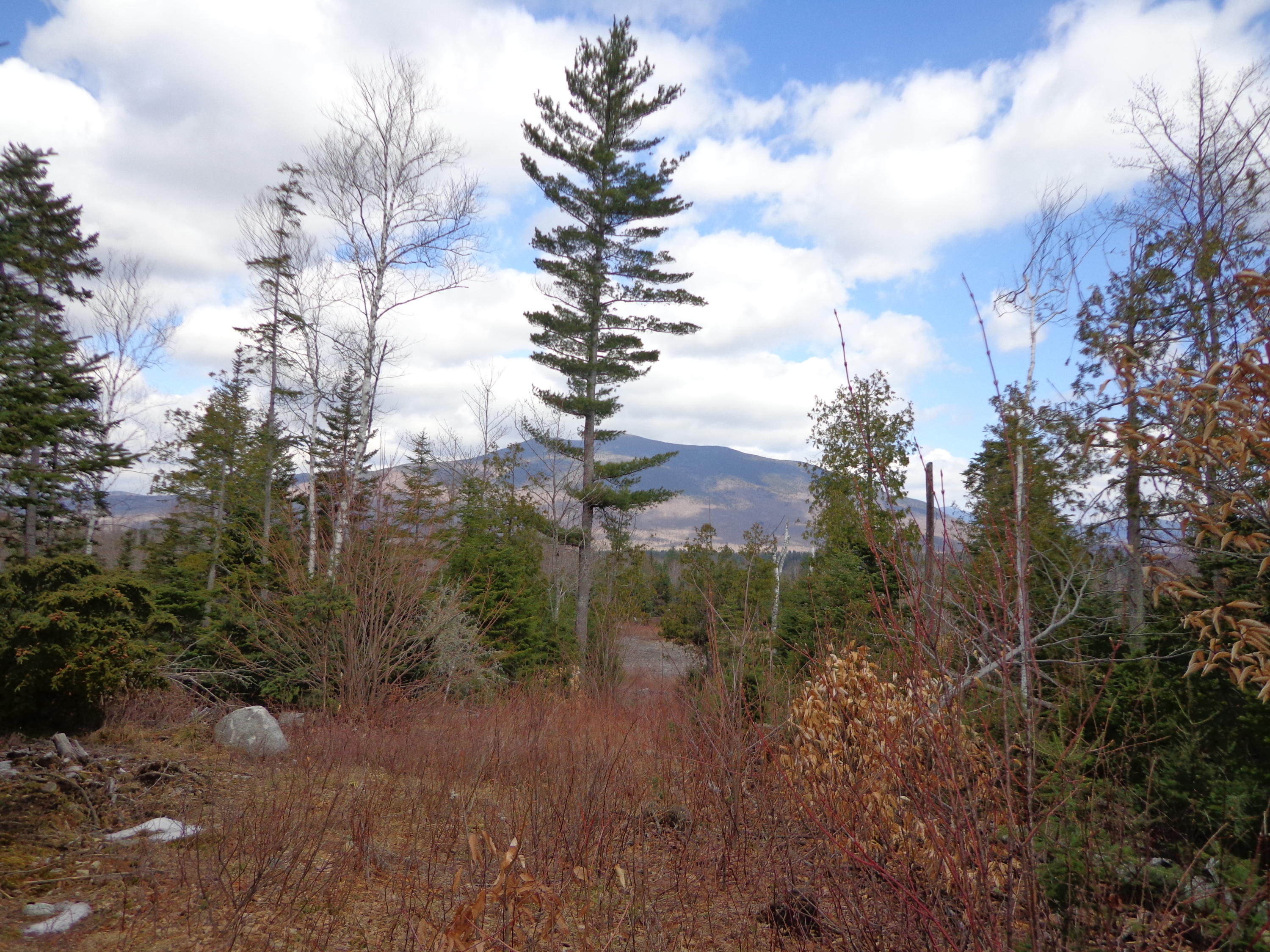 142 (salem Road) Road Strong, ME 04983 - Photo 5 of 17 view