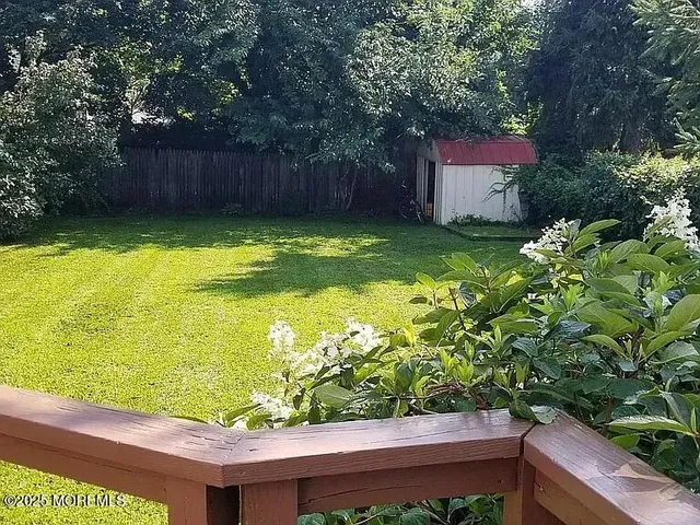 a view of a backyard with plants
