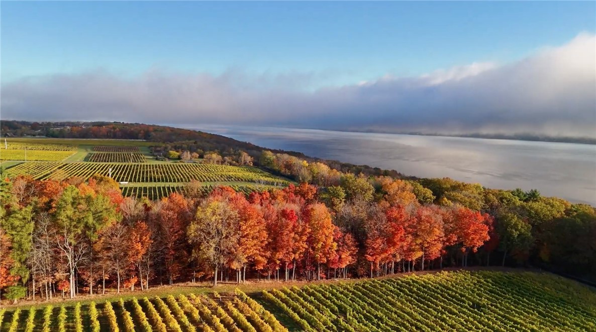 3 Elm Road Dundee, NY 14837 - Photo 12 of 21 Finger Lakes Fall — wine country wrapped in color.