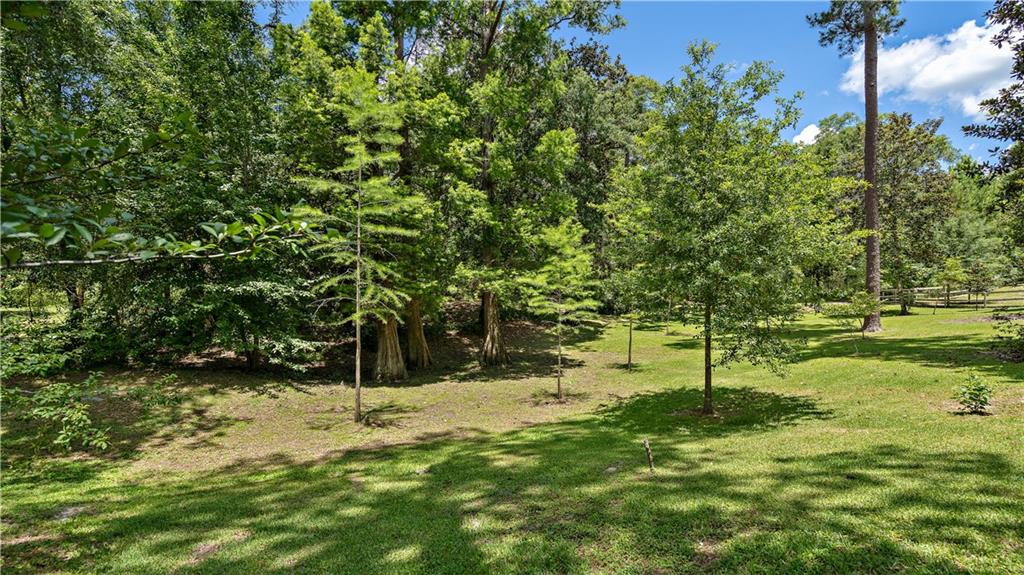 74541 Military Road Covington, LA 70435 - Photo 19 of 24 Gallery Image 19