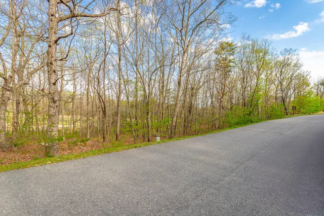 $50,000 | 0 Old Rocky Trail, Menlo, GA 30731