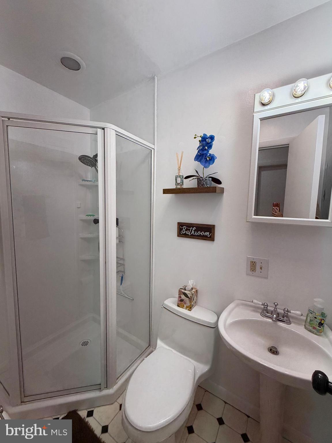 359 Straton Way Basye, VA 22842 - Photo 22 of 38 a bathroom with a sink toilet and shower