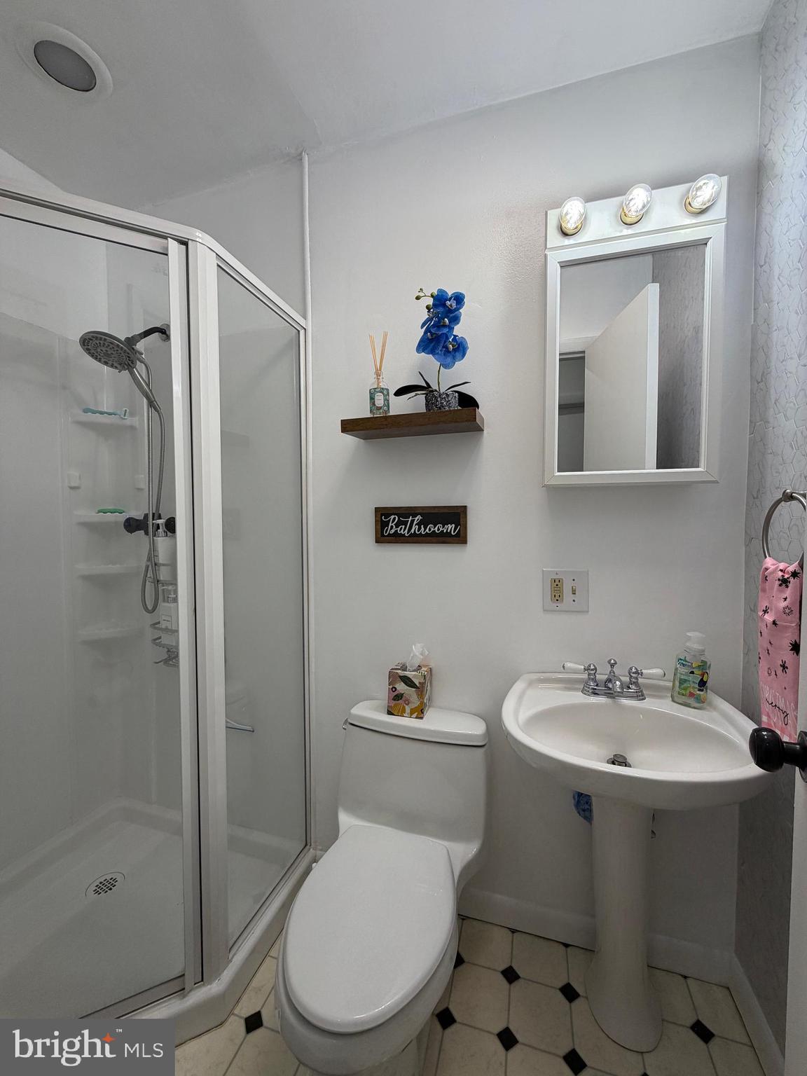 359 Straton Way Basye, VA 22842 - Photo 23 of 38 a bathroom with a sink toilet and shower