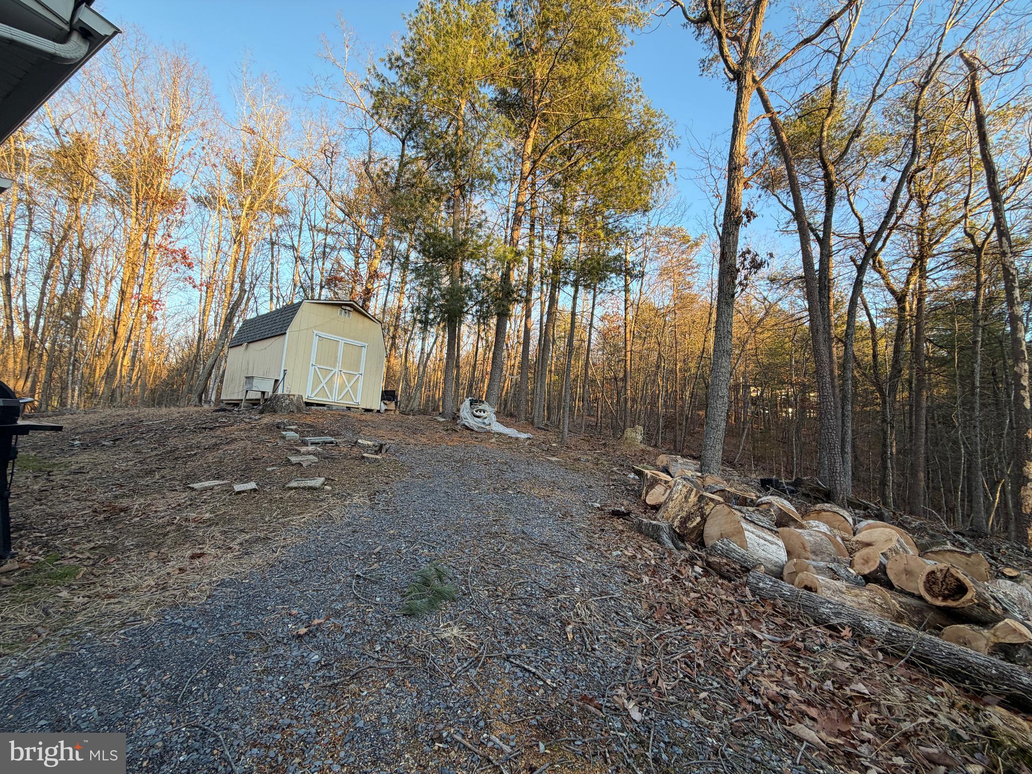 359 Straton Way Basye, VA 22842 - Photo 35 of 38 a view of backyard with tree