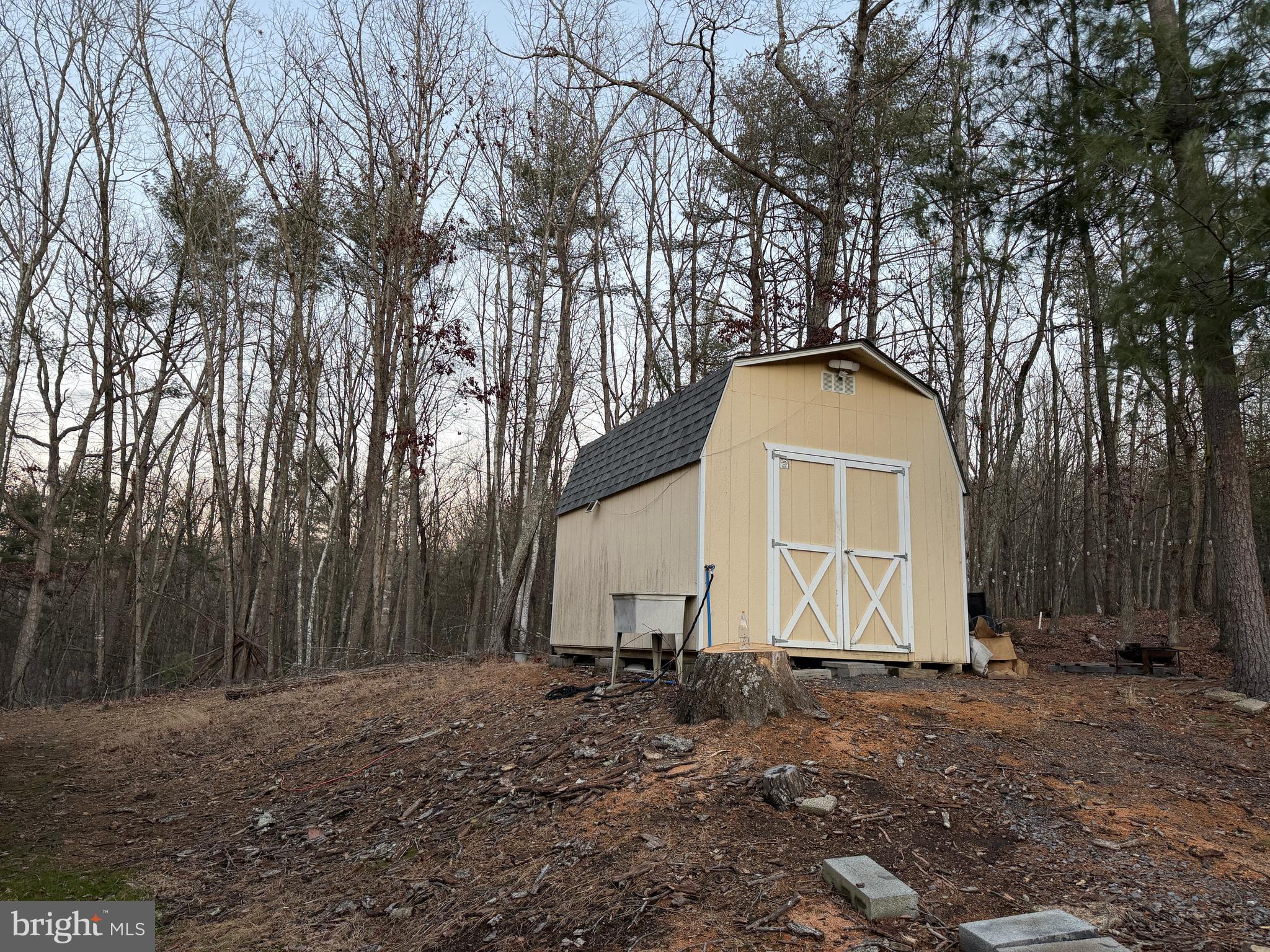 359 Straton Way Basye, VA 22842 - Photo 36 of 38 a view of backyard with large trees