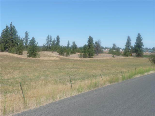 0 South Curtis Road Cheney, WA 99004 - Photo 3 of 9