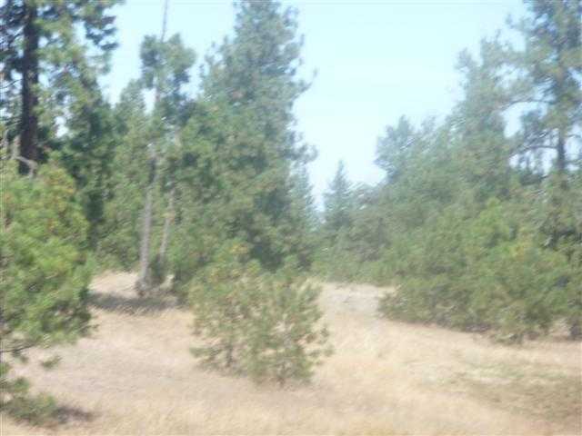0 South Curtis Road Cheney, WA 99004 - Photo 8 of 9
