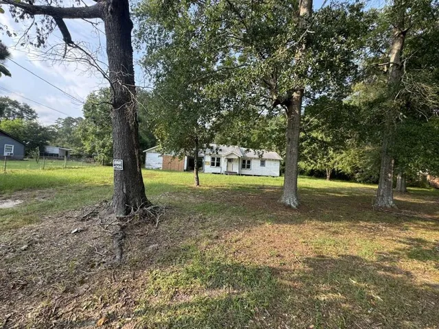 a view of a tree in a park