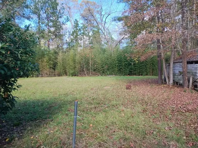 a view of a backyard