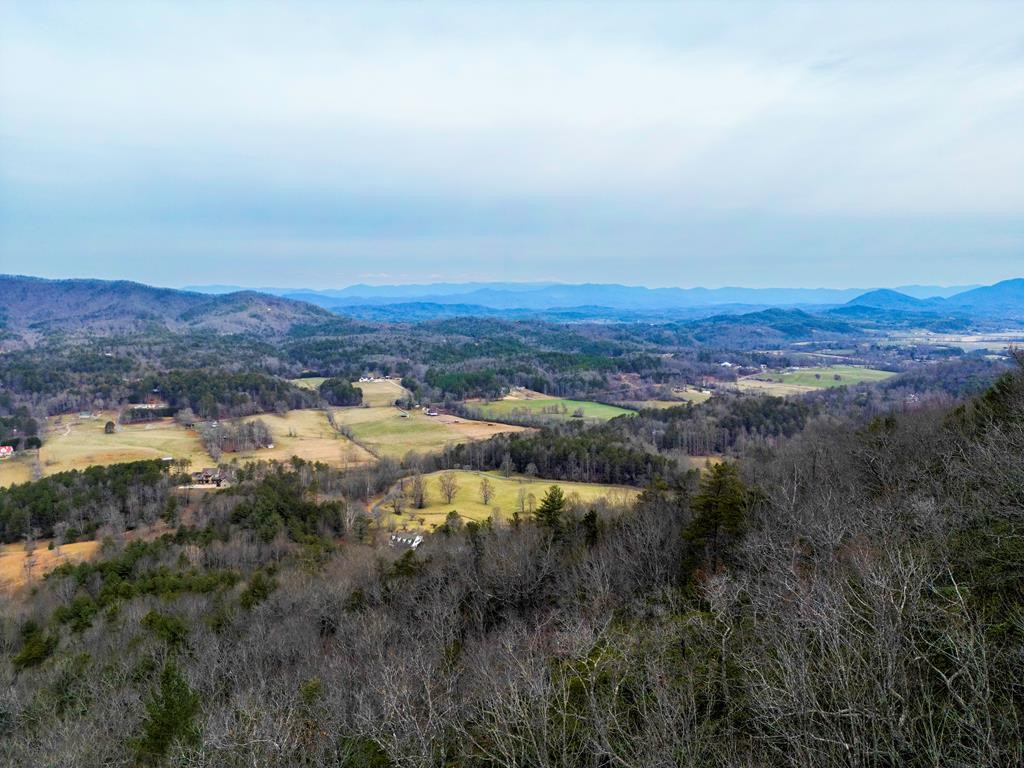 Lot 5 Mason Road Brasstown, NC 28902 - Photo 6 of 11 Gallery Image 6