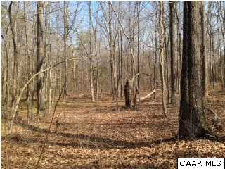 1933 Greenes Corner Road Bumpass, VA 23024 - Photo 1 of 6 a view of a backyard of the house