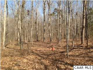 1933 Greenes Corner Road Bumpass, VA 23024 - Photo 2 of 6 a view of wooden door