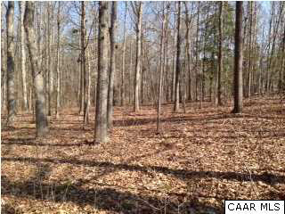 1933 Greenes Corner Road Bumpass, VA 23024 - Photo 5 of 6 a backyard of a house with lots of green space