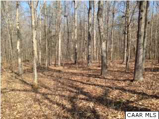 1933 Greenes Corner Road Bumpass, VA 23024 - Photo 6 of 6