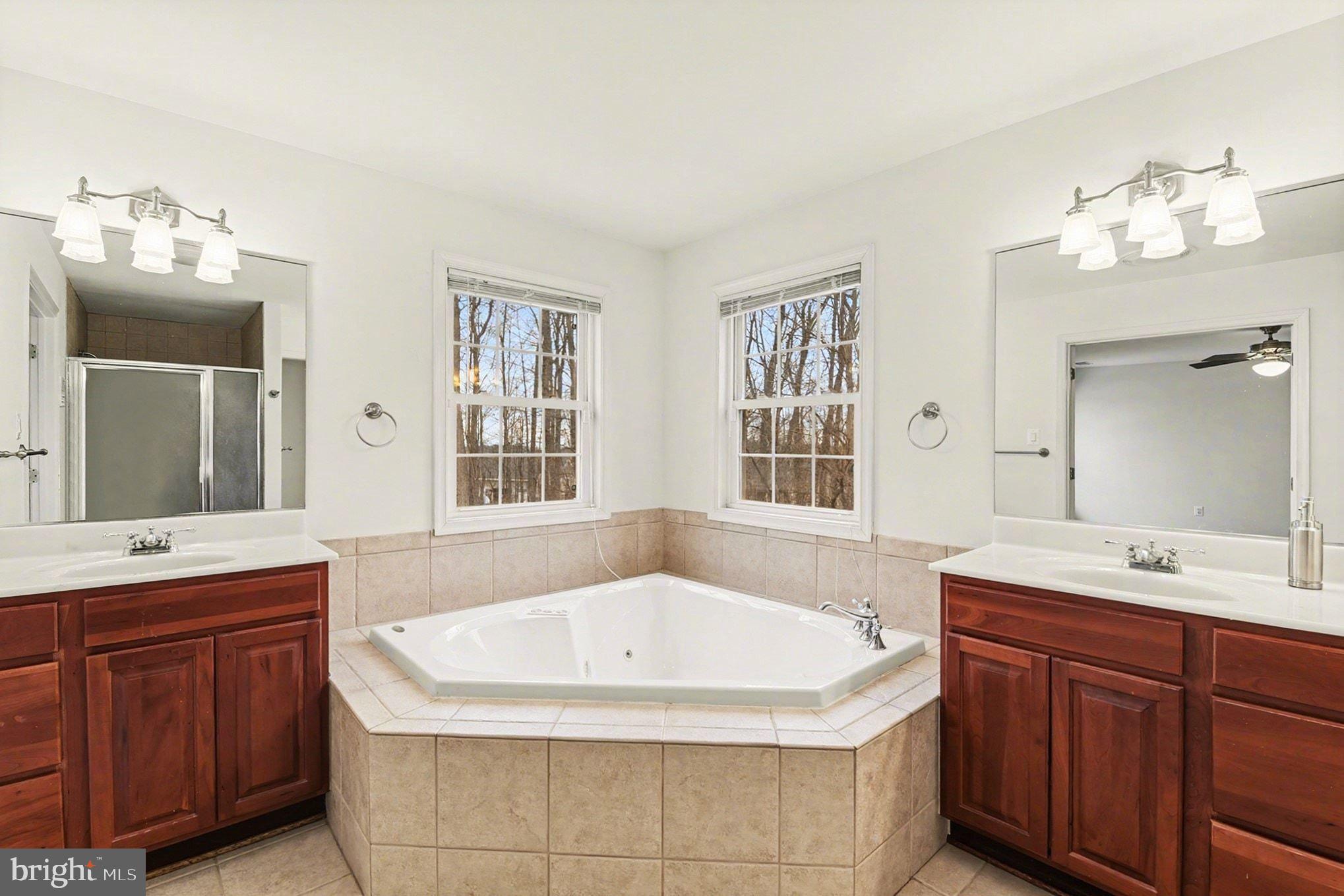 1645 Timber Summit Drive Westminster, MD 21157 - Photo 26 of 65 a spacious bathroom with a tub sink and mirror