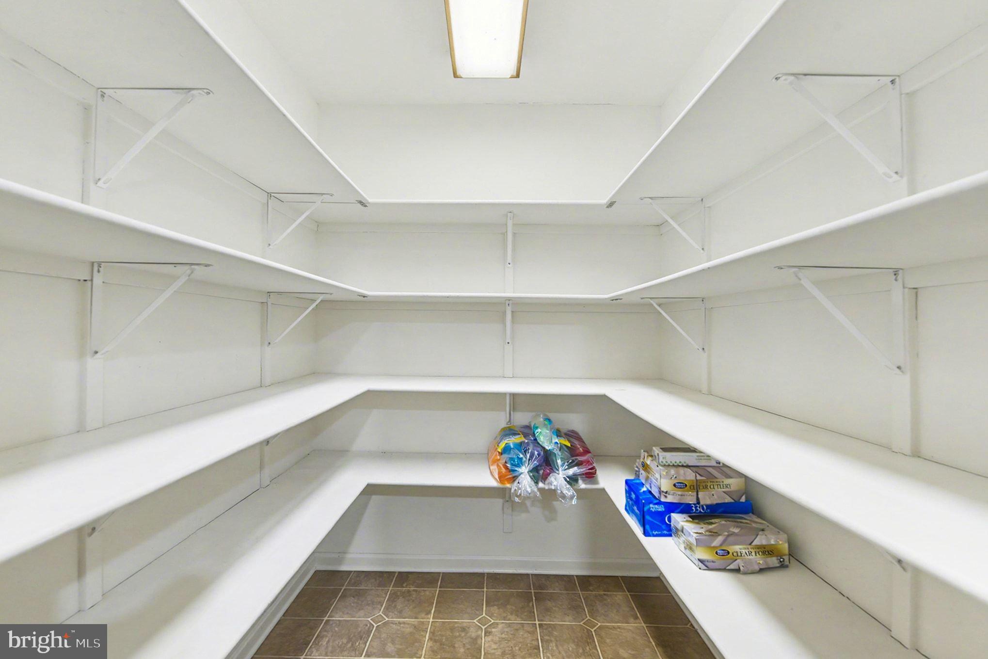 1645 Timber Summit Drive Westminster, MD 21157 - Photo 41 of 65 a view of storage and utility room with empty racks