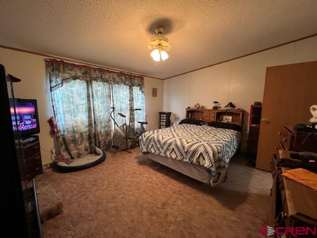 21370 H75 Road Delta, CO 81416 - Photo 10 of 26 a bedroom with a bed a chandelier and a flat screen tv