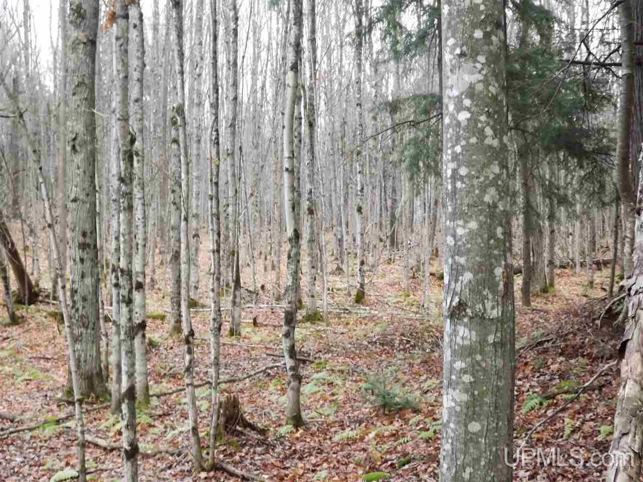 Tbd Yellow Road, Unit 277 & 298 Pelkie, MI 49952 - Photo 3 of 10