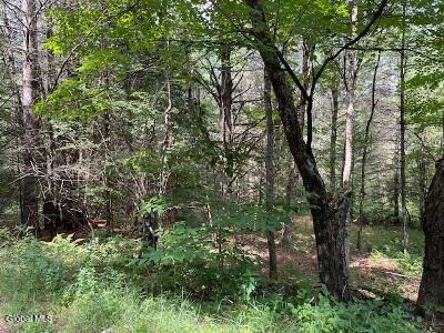 623 Johnson Pond Road North Hudson, NY 12855 - Photo 5 of 10 woods