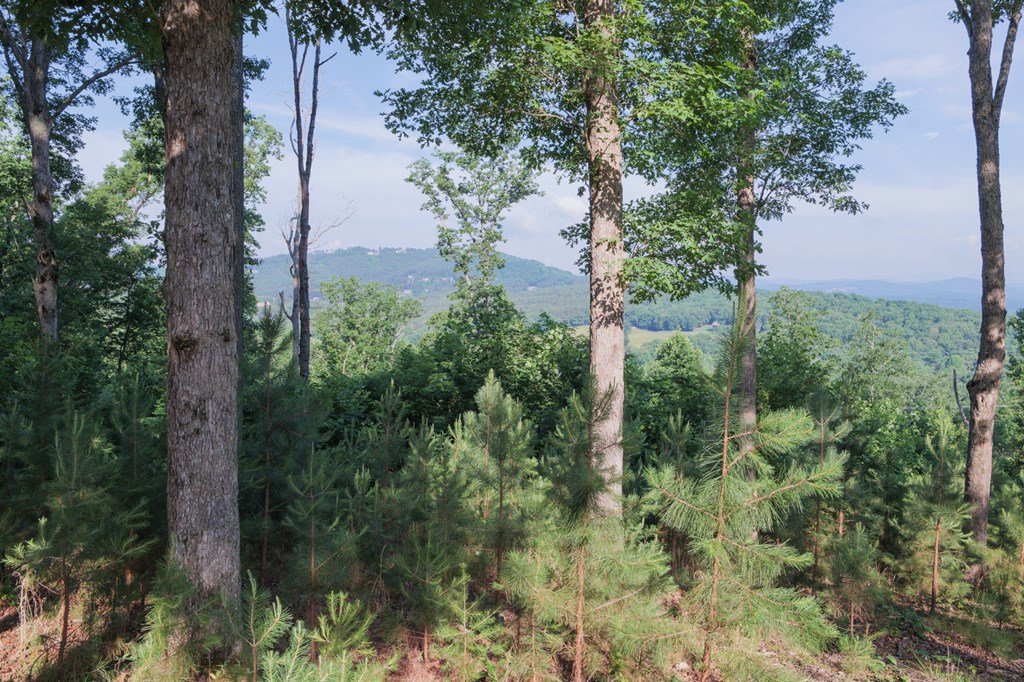 90 Winding Ridge Blairsville, GA 30512 - Photo 2 of 4