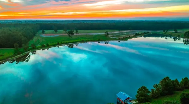 a view of grassy field with grass