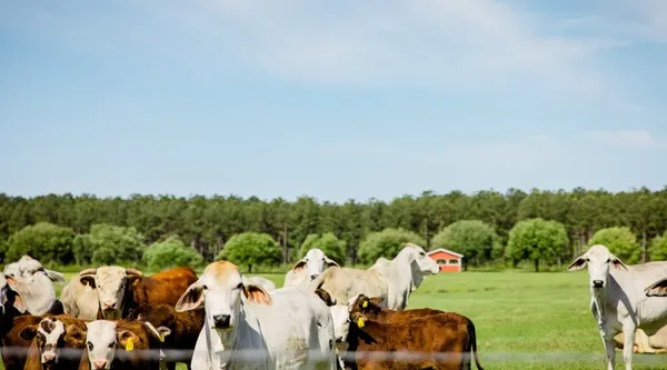 a view of a houses with outdoor space and lake view