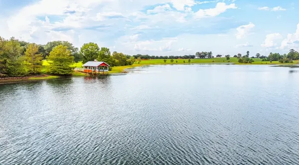 a view of a yard with trees